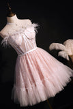 Pink Feather A Line Sleeveless Short Evening Dress Prom Homecoing Dress