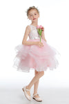 Pink V Back Tulle Layered Flower Girl Dress FL0019