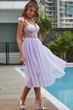 Elegant Sweetheart Mesh Perspective Tulle Homecoming Dress Prom Dress