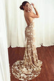 Appliques Backless Lace Mermaid V-Neck Spaghetti Straps Prom Dress