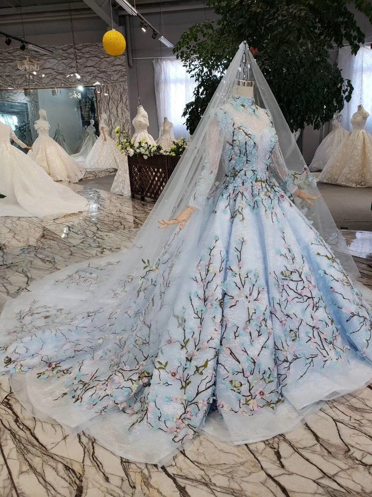 Light Blue Ball Gown Wedding Dress With Lace Flowers, Beading Quinceanera Dress N1628