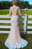 Classy Mermaid Open Back Lace Tulle Long Prom Dresses,Women Dresses Z0213 - Bohogown