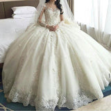 Gorgeous ivory Lace Appliques Long Sleeves Ball Gown Wedding Dress N549