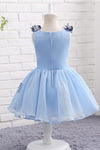 Light Blue Baby Girls Clothes Butterfly Appliques Puffy Flower Girl Dress F057