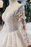 Princess Long Sleeves Sheer Neck Ball Gown Lace Wedding Dress Long Bridal Dress N1931