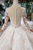 Princess Long Sleeves Sheer Neck Ball Gown Lace Wedding Dress, Long Bridal Dress N1931