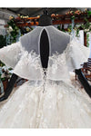 Gorgeous Ball Gown Big Wedding Dress Princess Bridal Dress With Sleeves N1969