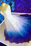 Ombre Prom Dress Sweetheart, Ball Gown Lace Applique Long Wedding Dresses N1800