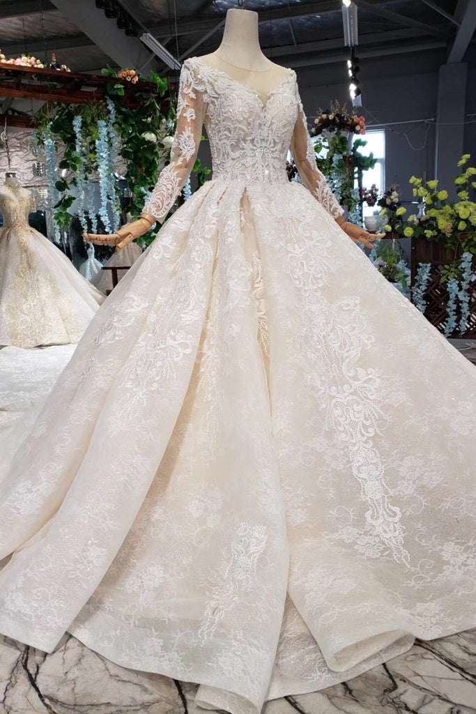 Princess Long Sleeves Sheer Neck Ball Gown Lace Wedding Dresses, Long Bridal Dress N1931