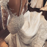 Gorgeous Mermaid Illusion Long Sleeves Tulle Appliques Wedding Dress,Beach Wedding Dress,N307