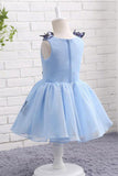 Light Blue Baby Girls Clothes Butterfly Appliques Puffy Flower Girl Dress F057