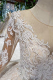 Princess Long Sleeves Sheer Neck Ball Gown Lace Wedding Dress, Long Bridal Dress N1931